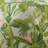 Tommy Bahama Aregada Dock Cotton Reversible Quilt Set-14603496-14603497