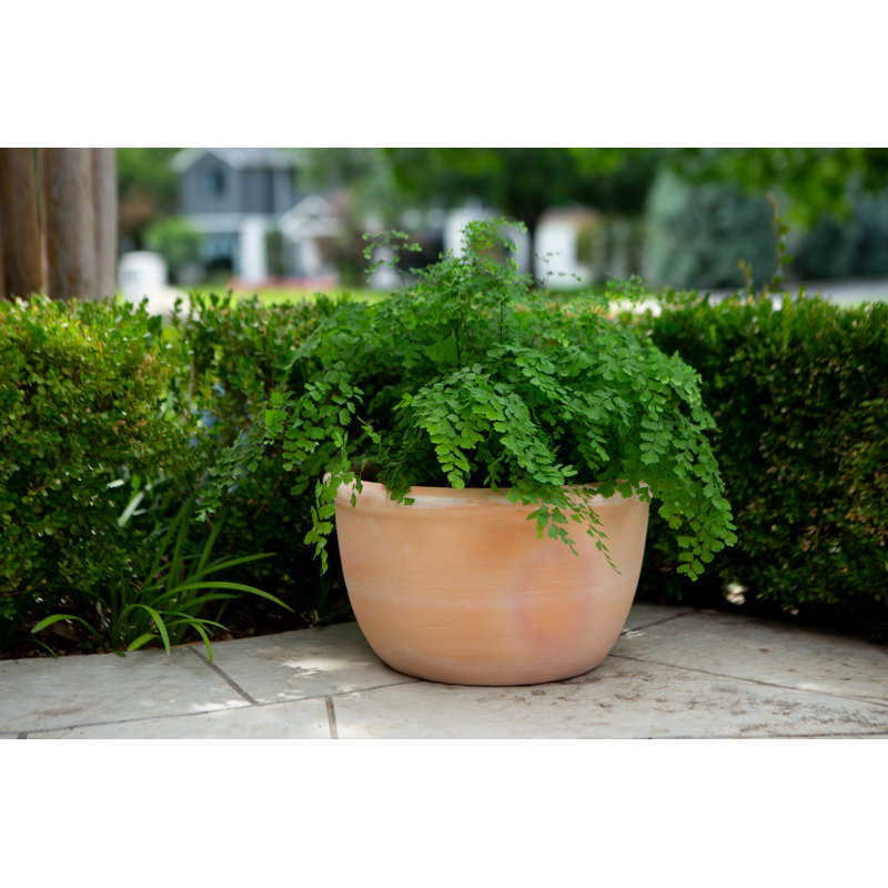 Pot à fleurs 9 po avec rebord, 9 po