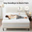 Arnbiorn 20cm Memory Foam Hybrid Pocket Spring Mattress-534078919