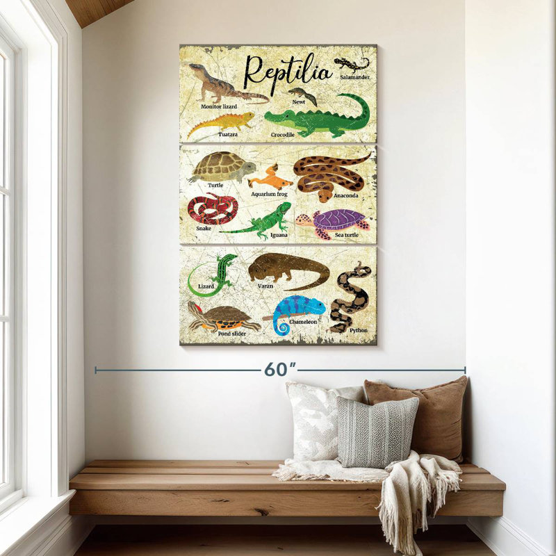 Tableau des espèces de reptiles Brampt, H 50 po x l 32 po