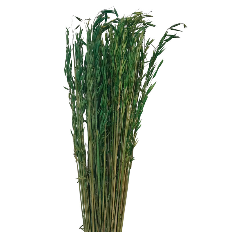 Florida Arrangement, Fresh Grass