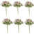 Rose est en rupture de stock