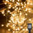 588'' Globe String Lights
