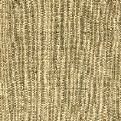 Antwanne Washable Indoor Rug