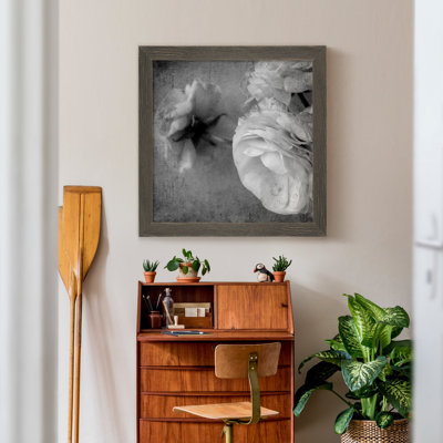 Renoncule foncé II - cadre photo