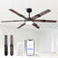  Ventilateur de plafond intelligent à intensité variable de 60 po avec 3 lumières à DEL CCT, commande à distance et commande APP, moteur CC réversible à 6 vitesses, minuterie, pales de bois à double face, tiges verticales de 6 po / 10 po