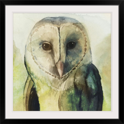 Harlequin Habou " Harlequin Hibou I " by Grace Popp