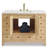 Bixby Large Sink Chest