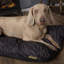 Expedition Orthopedic Polyester Pet Bed-2033301383