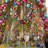 Moonbeam Patience Brewster Dancer Reindeer