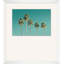 Palm Tree Sky Print by Christopher Kennedy