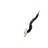 Kudu African Wall Trophies Sculpture