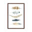 Feather Collection II by Carol Robinson - Painting on Canvas-1216286038-1216286033