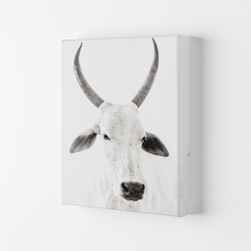 White Cow I by Victoria Frost - Single Picture Frame Print, 29.7cm H x 21cm W x 4cm D, Wrapped Canvas