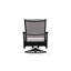 Wexler Outdoor Swivel Lounge Chair-1099678798-1102391103