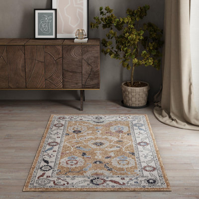 Paarth Oriental Indoor Rug