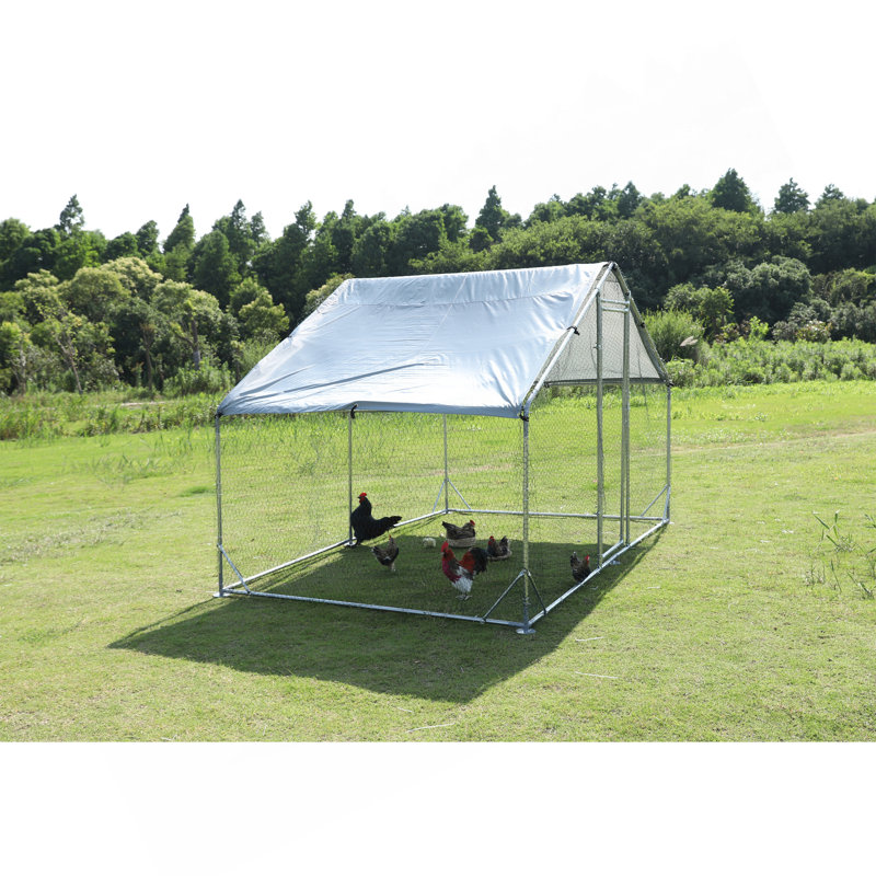 Cage à poules en métal imprégnée de fil d'acier de grande taille One Support