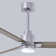 Alessandra Ceiling Fan