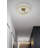 Franke 18'' LED Flush Mount - Light Antique Brass-121158465