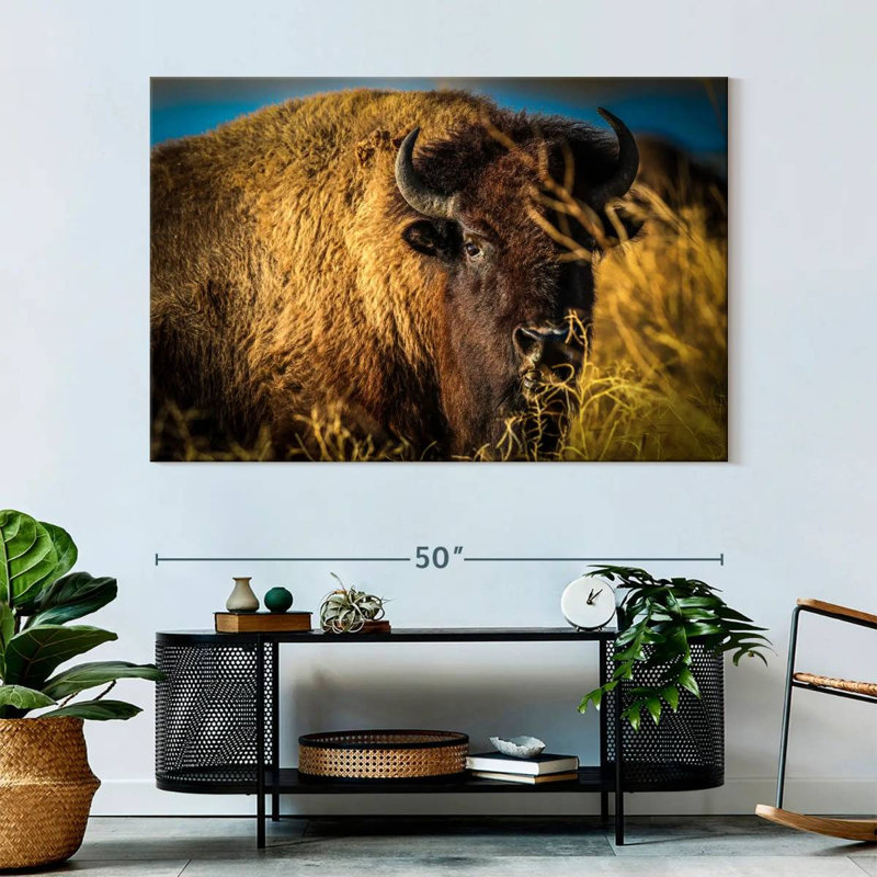 Brampt Grazing American Buffalo, 34" H x 51" W
