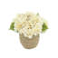 Fall Hydrangea Floral Arrangement-1288045205