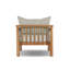Irvine Outdoor Teak Lounge Chair
