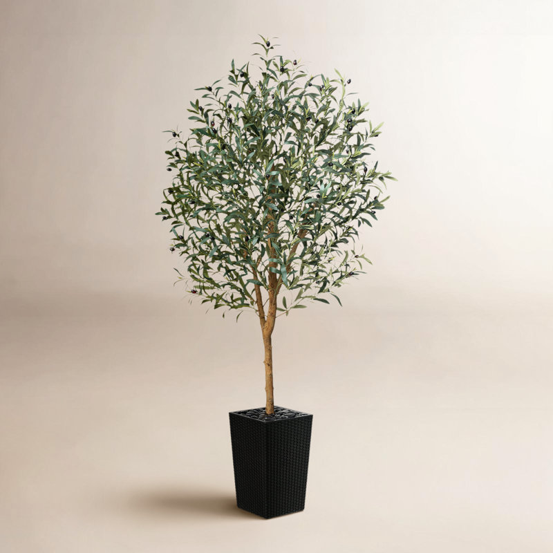 Olive artificielle George avec pot décoratif, faux olivier résistant aux rayons UV avec tronc naturel, Noir, noir, noir, noir