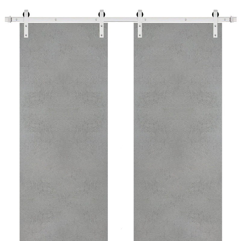 Porte de grange double robuste avec quincaillerie | Planum 0010 | Ensemble de 13 cintres lourds pour rail | Portes intérieures modernes à panneau massif - Rail argenté