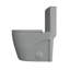 Toilette moderne une pièce à chasse double 1,1 / 1,6 GPF Reno en gris glacier (siège inclus)-94481061