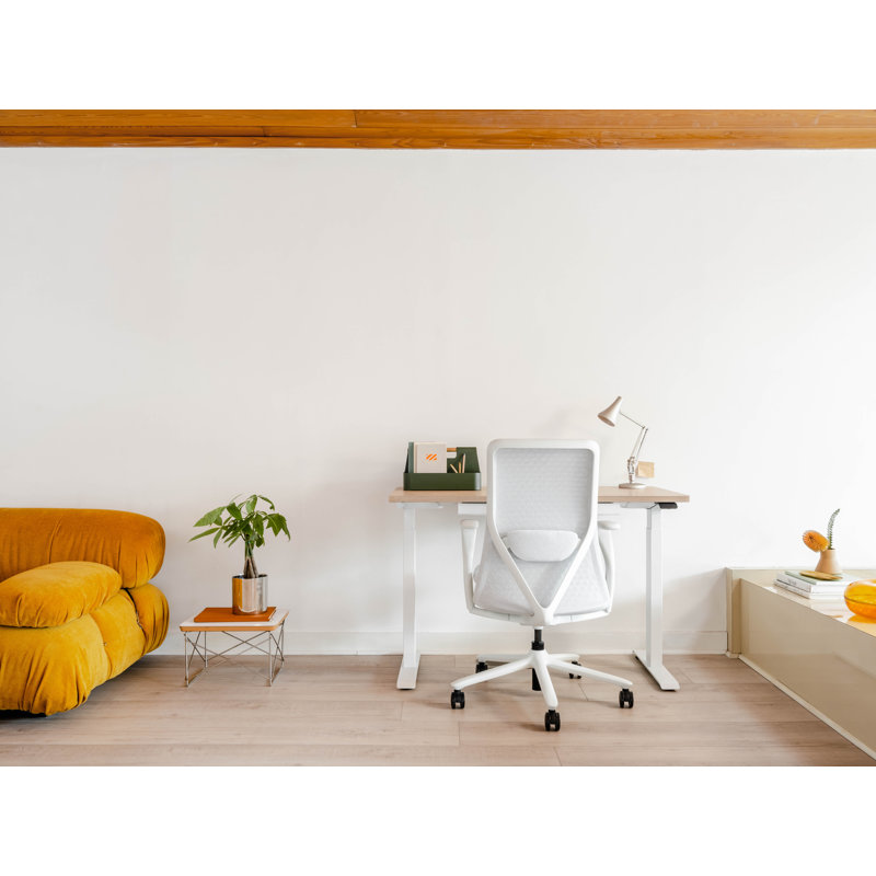 Duo Standing Desk, Woodgrain, 47.3" H x 48" W x 24" D, White