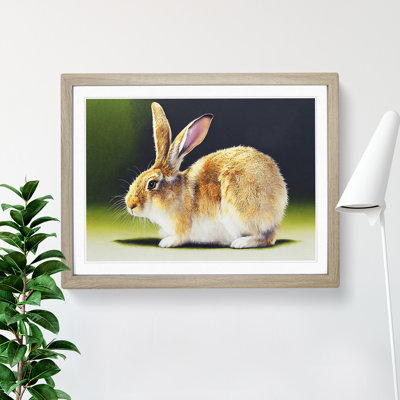 Watercolour Rabbit - Single Picture Frame Print