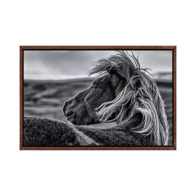 Glance Back by Sunny Ding - Print on Canvas