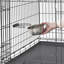 Bol alimentaire en acier inoxydable pour animaux MidWest Homes for Pet Snap'y Fit-16584556