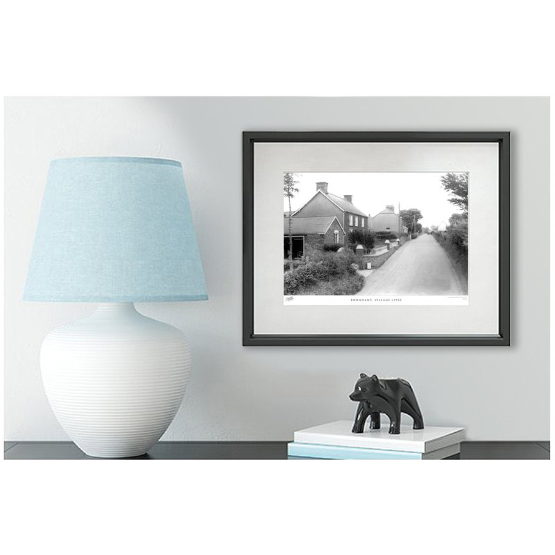 Bronnant, Village C1955 by Francis Frith - Single Picture Frame Print, 45cm H x 60cm W x 2.3cm D