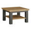 Sabja Coffee Table with Storage-1538136378