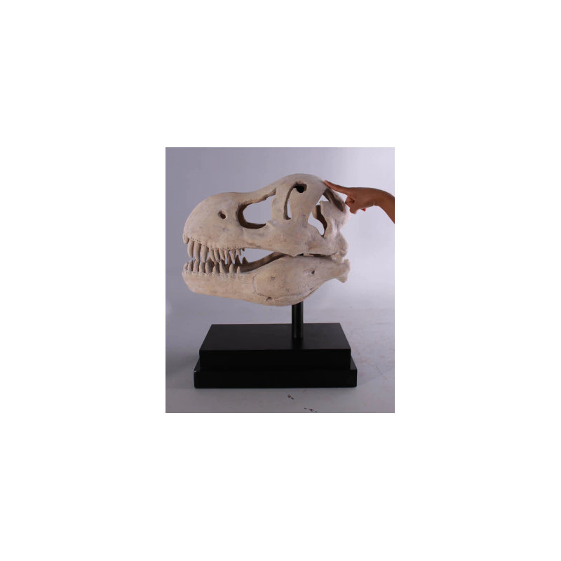 Statue crâne de dinosaure Jahda T-Rex
