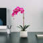 Artificial Orchid Plant-1709654826