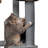 Replacement Scratching Post Cover Carpet-66401013-66401014