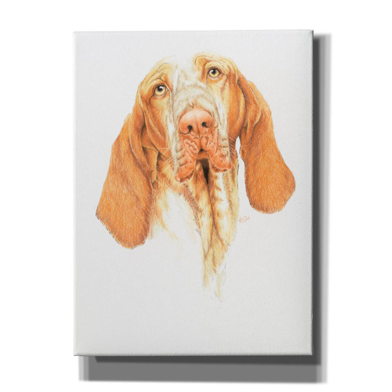 'Braceo' by Barbara Keith, Canvas Wall Art, 54" H x 40" W x 1.5" D
