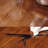 Solid Wood Coffee Table