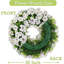 Couronne 22 po Morningglory-322782475