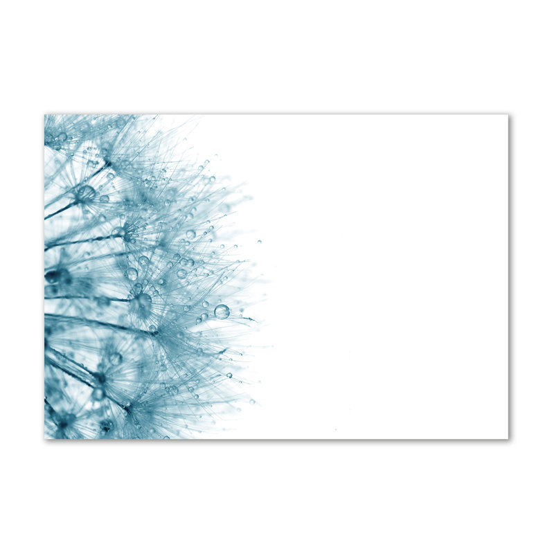 Dandelion - Wrapped Canvas Print