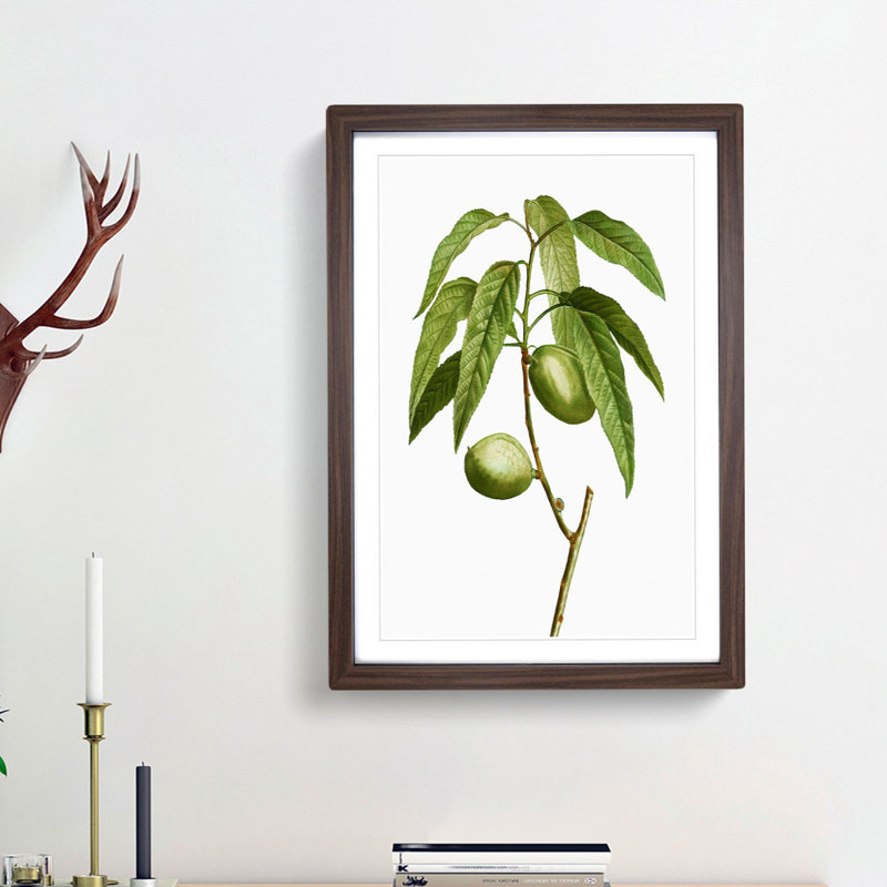 Almond Tree Branch by Pierre-Joseph Redoute - Framed Print, 63cm H x 45cm W x 2cm D, Walnut Framed