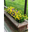 Fleurs artificielles-1398364675