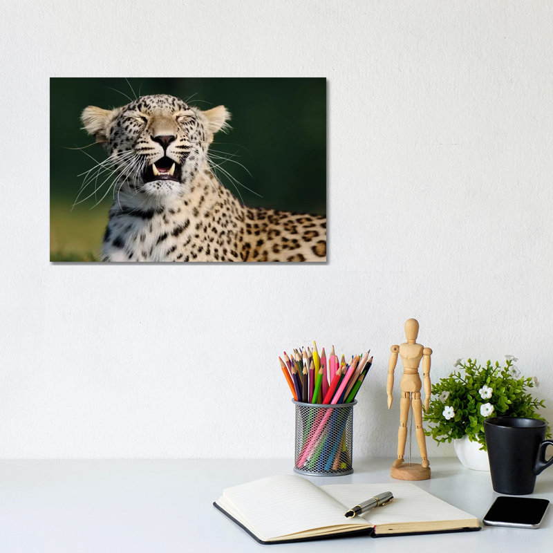 Smiling Leopard by Goran Anastasovski - Wrapped Canvas Print, 20.32 cm H x 30.48 cm W