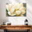 Fleur de magnolia Harnek sur fond gris-106428488