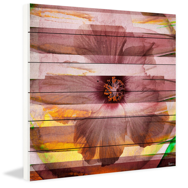 Parvez Taj - Wrapped Canvas Print, 61cm H x 61cm W
