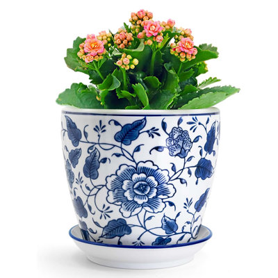 hanging plants on sale SALE! main image 0