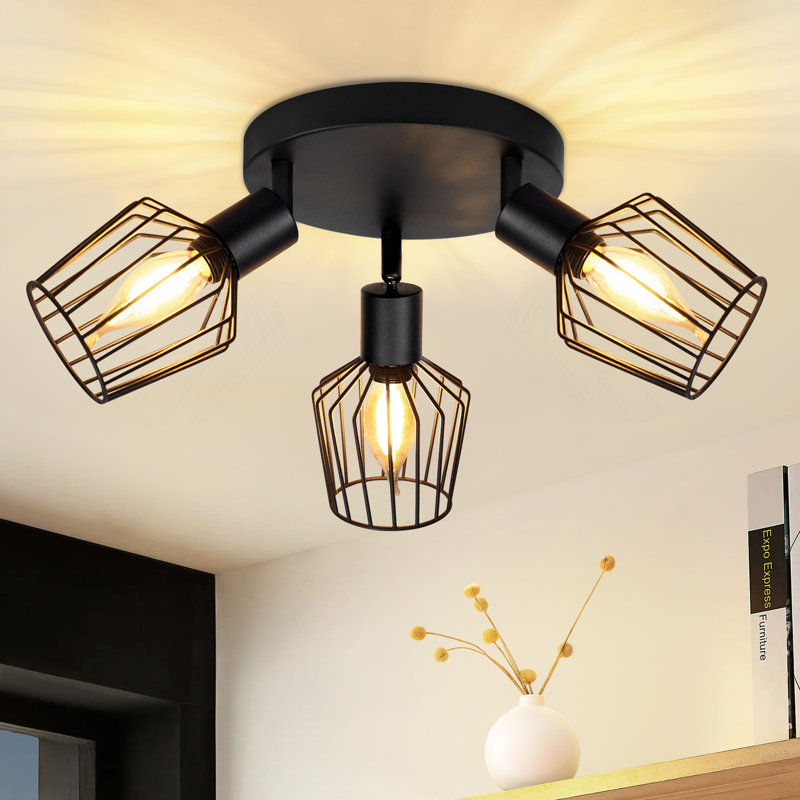 Aiela Spotlight, Black
