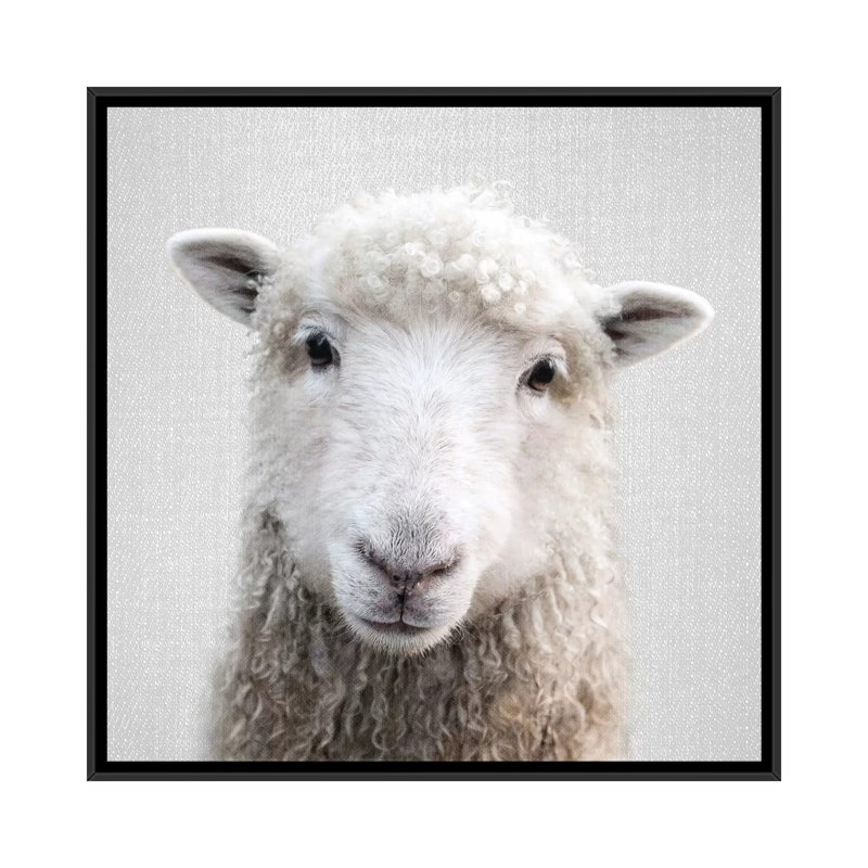 «Sheep» - reproduction de photo, H 12 po x l 12 po x P 1,5 po, Toile avec cadre noir